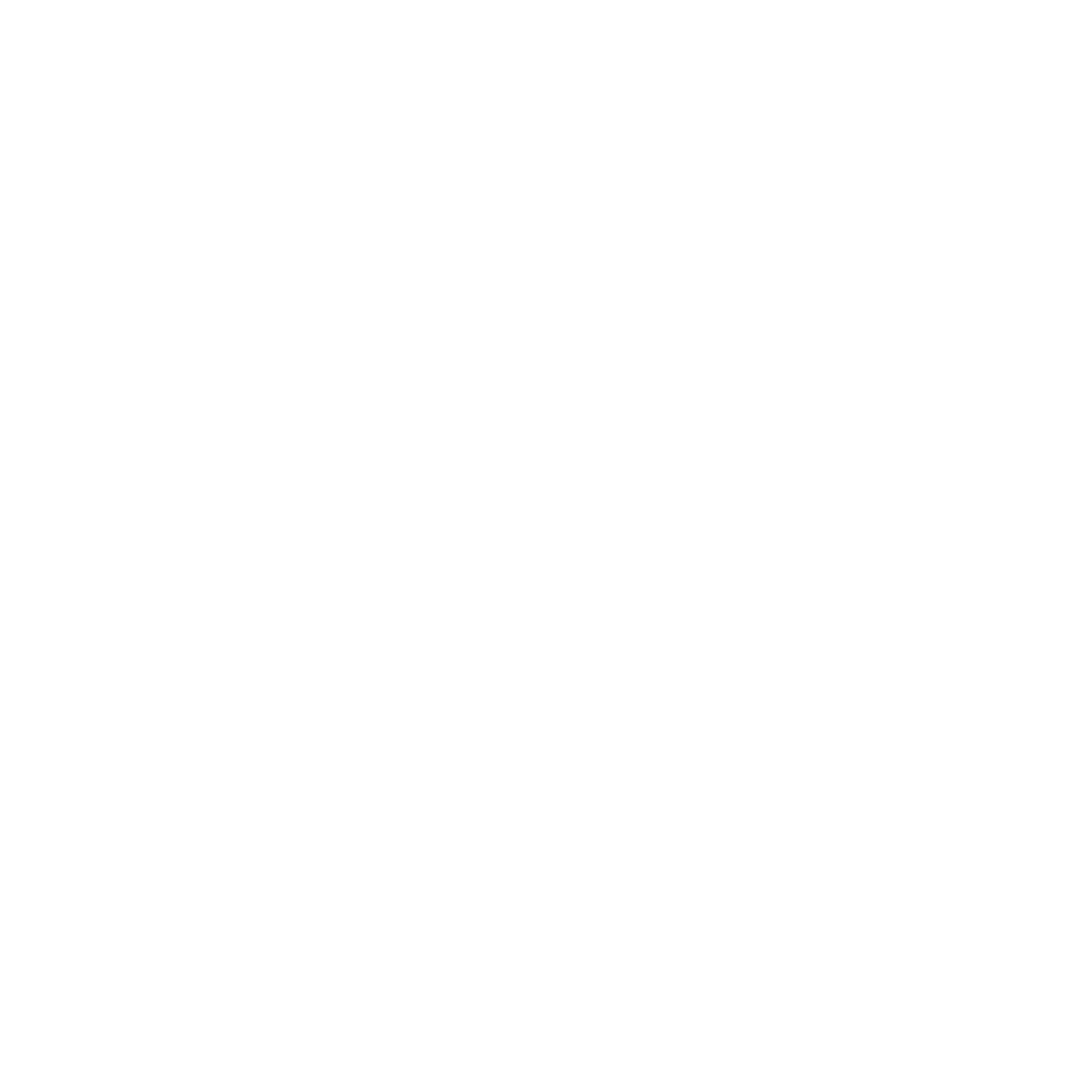 Stockrise by APPSarise white logo